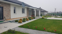 Bursztyn. Obraz #109