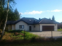 Rozłożysty. Obraz #48