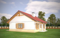 Żabka 2. Obraz #19