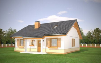 Żabka 3. Obraz #28