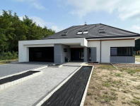 Hiacynt. Obraz #268