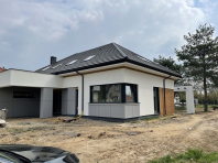 Hiacynt. Obraz #281