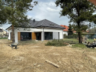 Hiacynt. Obraz #307