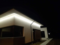 Hiacynt. Obraz #286