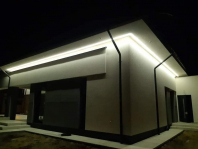 Hiacynt. Obraz #287