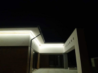 Hiacynt. Obraz #288