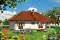 NIEZAPOMINAJKA (S-GL 352). Obraz #7