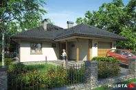 TIP TOP (S-GL 442). Obraz #7