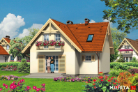 STORCZYK (S-GL 241). Obraz #7