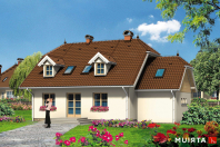 IRYS (S-GL 272). Obraz #7