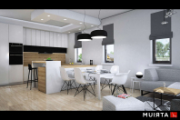 MODERN HOUSE II (S-GL 1162). Obraz #24