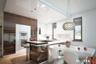 MODERN HOUSE II (S-GL 1162). Obraz #28