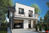 SINGLE HOUSE. Obraz #12
