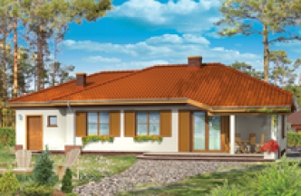 IMBIR segment skrajny lewy