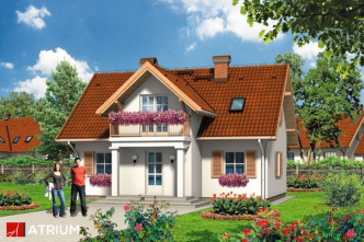 KWIAT PAPROCI (S-GL 228)