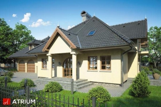 PAN TADEUSZ (S-GLX 35)