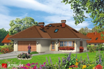 BENIAMINEK (S-GL 383)