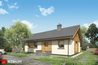 AURORA MINI (S-GL 973)