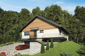 RYŚ