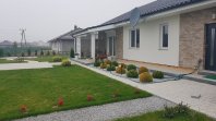 Bursztyn. Obraz #109