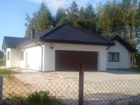 Rozłożysty. Obraz #46