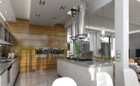 Willa atrium. Obraz #35