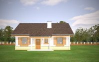 Żabka - wizualizacja - miniatura #3