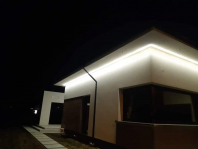 Hiacynt. Obraz #286