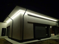 Hiacynt. Obraz #287