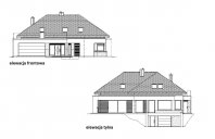 Hiacynt wariant C. Obraz #3