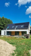 Hiacynt 7 B. Obraz #35