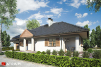 ZBYSZKO (S-GL 339). Obraz #10
