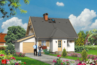 PLASTUŚ (S-GL 338). Obraz #6