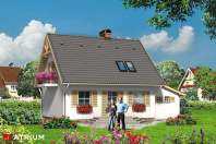 PLASTUŚ (S-GL 338). Obraz #7