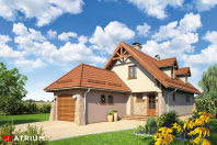 LIMBA (S-GLX 36). Obraz #6