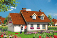 DUKACIK (S-GL 420). Obraz #7