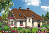IRYS (S-GL 272). Obraz #6