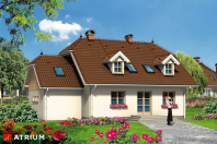 IRYS (S-GL 272). Obraz #7