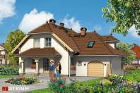 JESION (S-GL 196). Obraz #5