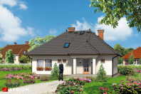 AKACJA (S-GL 205). Obraz #7