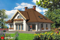 KONSUL (S-GL 116). Obraz #5