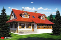 BESKID (S-GL 663). Obraz #6