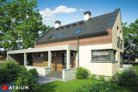 SALSA (S-GL 664). Obraz #7