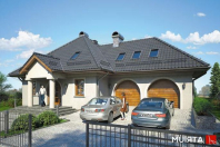 PODKOMORZY II (S-GL 805). Obraz #6