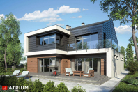 NEW HOUSE (S-GL 1094). Obraz #9