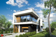 MODERN HOUSE II (S-GL 1162). Obraz #17