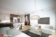 MODERN HOUSE II (S-GL 1162). Obraz #21
