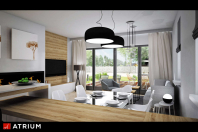 MODERN HOUSE II (S-GL 1162). Obraz #26