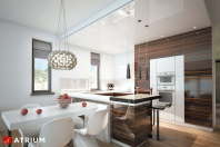 MODERN HOUSE II (S-GL 1162). Obraz #28