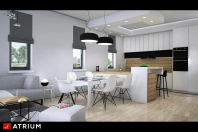 MODERN TWIN II. Obraz #15